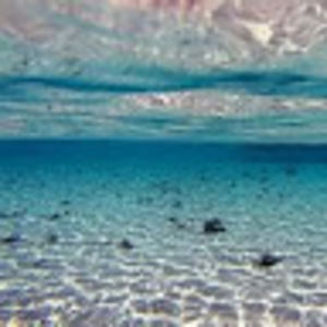 Meet your Posher, Anusha